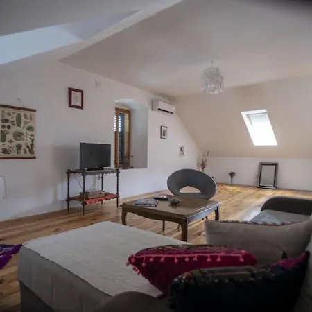 Spacious Loft With Terrace Trebin